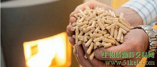 濟(jì)南龍騰新能源對于生物質(zhì)木屑顆粒的市場推測